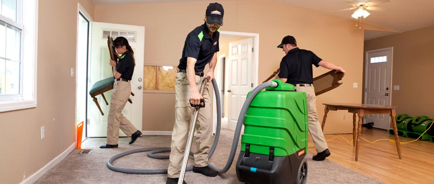 Maple Grove, MN cleaning services
